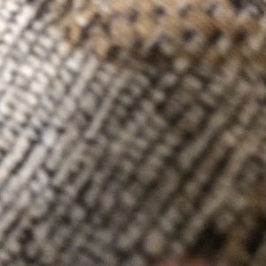 Meet your Posher, Joshua